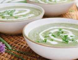 Chilled Zucchini Soup, Zucchini
Garden Design
Calimesa, CA