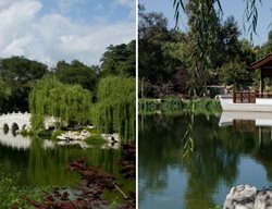 Chinese Landscape, Chinese Garden
The Huntington Library, Art Collections, and Botanical Gardens
