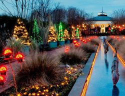 Christmas Daniel Stowe Lights
Garden Design
Calimesa, CA
