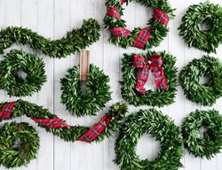 Christmas Garland
Garden Design
Calimesa, CA