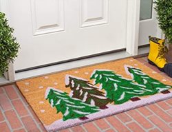 Christmas Tree Doormat
Garden Design
Calimesa, CA
