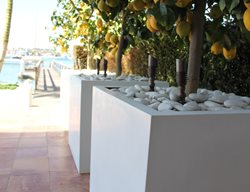 Citrus Planters
Hart Concrete Design
Costa Mesa, CA