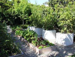 Citrus Planters
Hart Concrete Design
Costa Mesa, CA