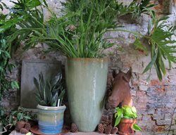 City Planter Interior Display Philadelphia
Garden Design
Calimesa, CA