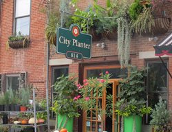 City Planter Storefront Philadelphia
Garden Design
Calimesa, CA
