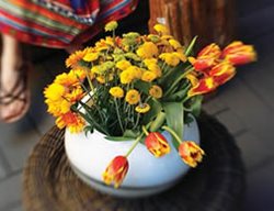 City Style: The Style Of New York's Interieurs
Garden Design
Calimesa, CA