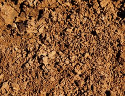 Clay Soil
Shutterstock.com
New York, NY