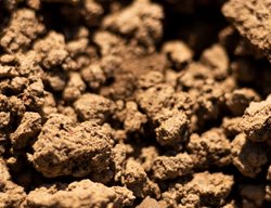 Clay Soil, Soil
Shutterstock.com
New York, NY