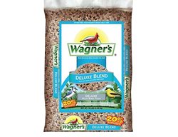 Clean Bird Feeders & Refill Them
Garden Design
Calimesa, CA