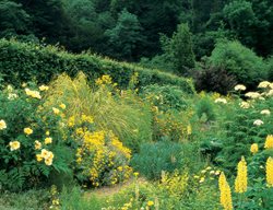 Clr11_gdapr06
Garden Design
Calimesa, CA