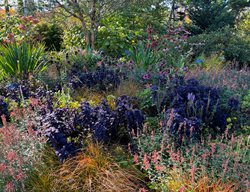 Coastal Maine Botanical Garden
Garden Design
Calimesa, CA