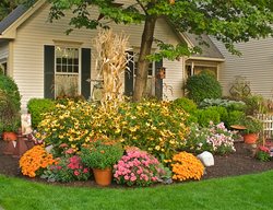 Colorful Fall Front Garden
Garden Design
Calimesa, CA