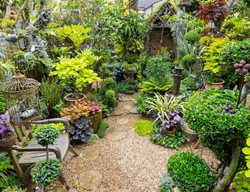 Colorful Foliage Garden
Garden Design
Calimesa, CA