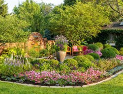 Colorful Garden With Petunias, Garden Focal Point
Proven Winners
Sycamore, IL