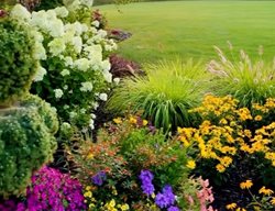 Colorful Michigan Garden
Garden Design
Calimesa, CA