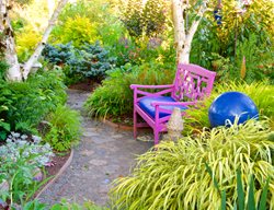 Colorful Side Yard With Pink Bench
Garden Design
Calimesa, CA