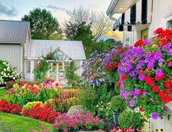Colorful Window Box Gardens
Garden Design
Calimesa, CA