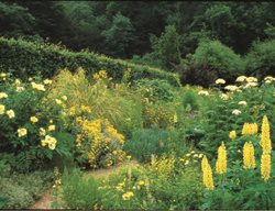 Colour For Adventurous Gardeners 
Garden Design
Calimesa, CA