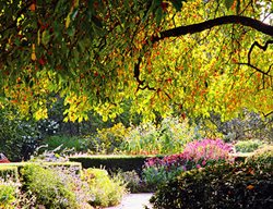 Conservatory Garden, Central Park 
Lynden Miller
