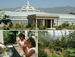 Conservatory, The Huntington
The Huntington Library, Art Collections, and Botanical Gardens
