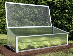 Consider Starting A Year-Round Edible Garden
Garden Design
Calimesa, CA