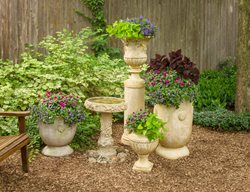 Container Garden With Bird Bath
Proven Winners
Sycamore, IL