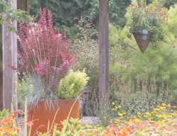 Container Planting
Le-jardinet
Seattle, WA