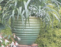 Container Plants
Le-jardinet
Seattle, WA