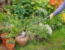Containers, Watering Wand
Garden Design
Calimesa, CA