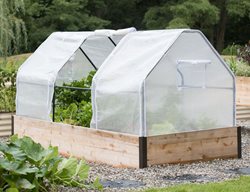 Continue Frost Preparation
Garden Design
Calimesa, CA