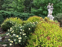 Coordinating Color Echoes In Garden
Garden Design
Calimesa, CA