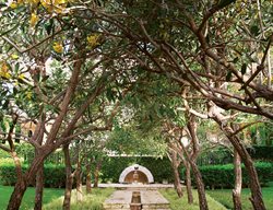 Coral Stone Rill Framed
Garden Design
Calimesa, CA