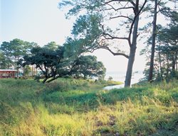 Cove Area
Nelson Byrd Woltz
Charlottesville, VA