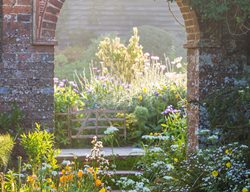 Cow Parsley
Garden Design
Calimesa, CA