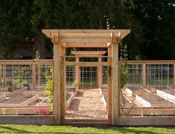 Critter Resistant Vegetable Garden, Garden Plans
Garden Design
Calimesa, CA