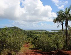 Cuba Tour, Cuba Gardens, Cuba Trip
Garden Design
Calimesa, CA