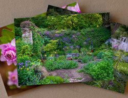 Culp Notecards
Garden Design
Calimesa, CA