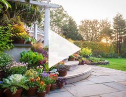 Culp September Garden Video Thumbnail
Garden Design
Calimesa, CA