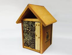 Cultivate Mason Bees
Garden Design
Calimesa, CA