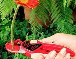 Cut And Hold Pruners
Garden Design
Calimesa, CA