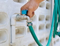 Cut Back Or Stop Watering
Garden Design
Calimesa, CA