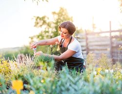 Cut Back Perennials
Garden Design
Calimesa, CA