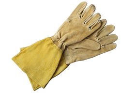 Cut Back Tender Edible Crops
Garden Design
Calimesa, CA