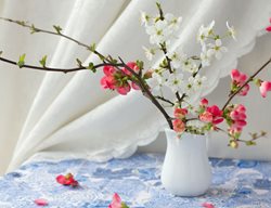 Cut Branches To Force Blooms Indoors
Garden Design
Calimesa, CA