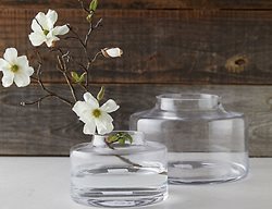 Cut Flowering Branches To Bring Indoors
Garden Design
Calimesa, CA