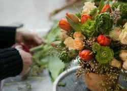 Cut Organic Flowers Article_1
Garden Design
Calimesa, CA