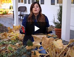 Cutting Back Perennials In Fall
Garden Design
Calimesa, CA