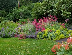 Cutting Garden 
Garden Design
Calimesa, CA