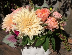 Dahlia, Summer Flowers, Fiori Floral Design
Fiori Floral Design
Seattle, WA
