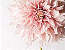 Dahlias
Garden Design
Calimesa, CA